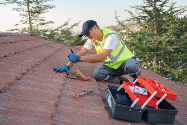 Professional Roofing Contractor in New Haven, WV